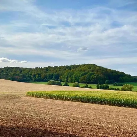 Appartamento Im Twistetal Oberwaroldern