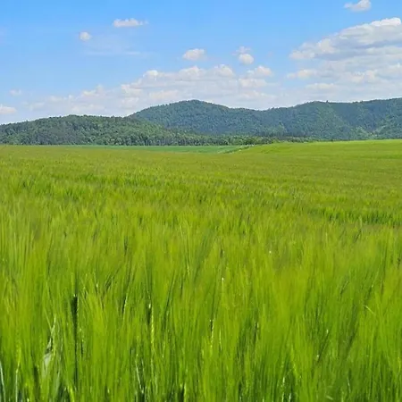 Appartamento Im Twistetal Oberwaroldern