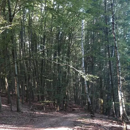 Im Twistetal Oberwaroldern * Ober-Waroldern