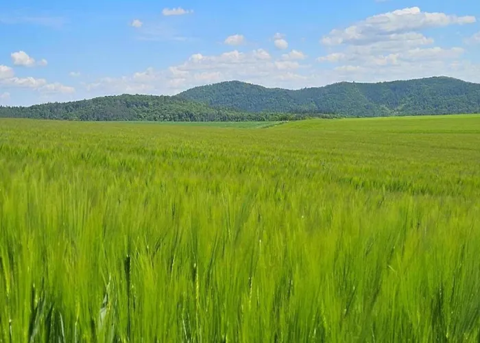 Апартаменты Im Twistetal Oberwaroldern